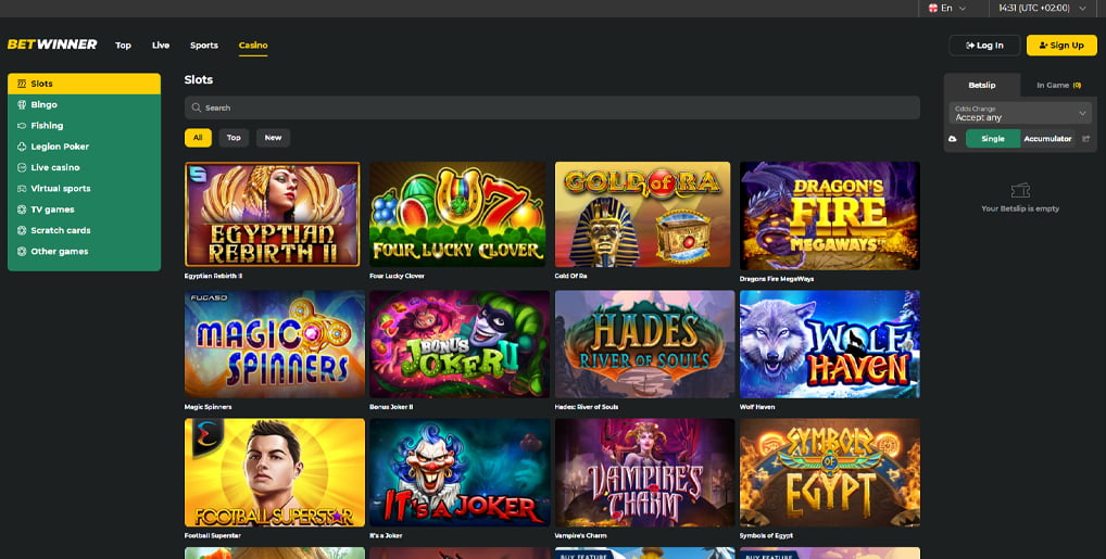 Understanding BetWinner Terms Your Complete Guide