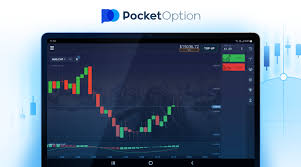 Unraveling the Potential of Pocket Option