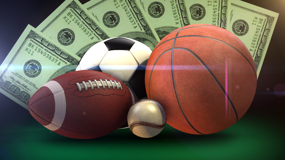 Your Ultimate Bookmaker Comparison Guide - Find the Best Betting Options